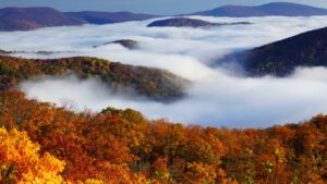 -cual-es-el-origen-de-las-historias-de-terror-de-los-montes-apalaches_