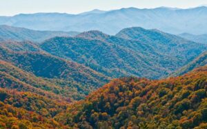 montes_apalaches_199_orig