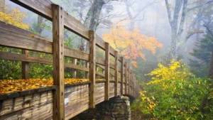 travesia-por-los-montes-apalaches